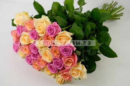 Букет роз Зефир из 31 розы купить в Москве недорого